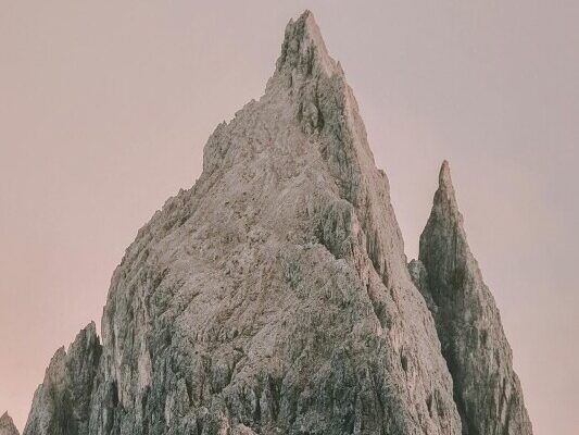 💭 Honey Bloom Log – Entry #01: “One Step Up The Damn Mountain”