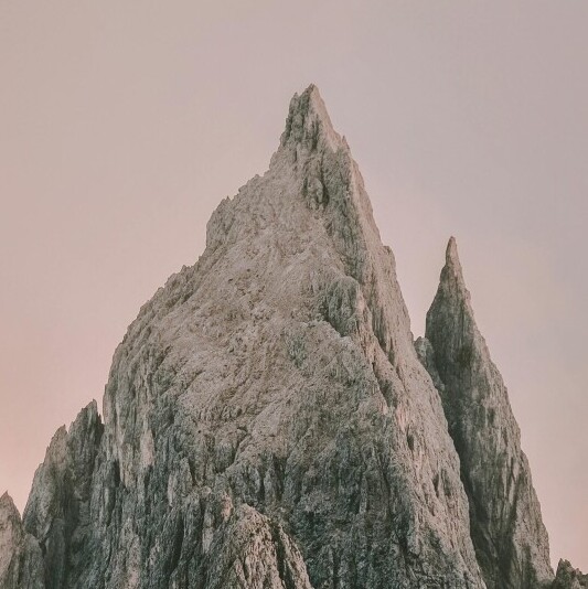 💭 Honey Bloom Log – Entry #01: “One Step Up The Damn Mountain”